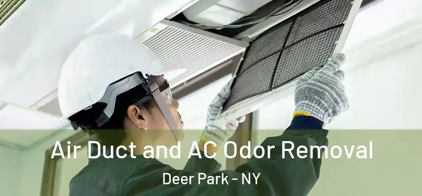  Air Duct and AC Odor Removal Deer Park - NY