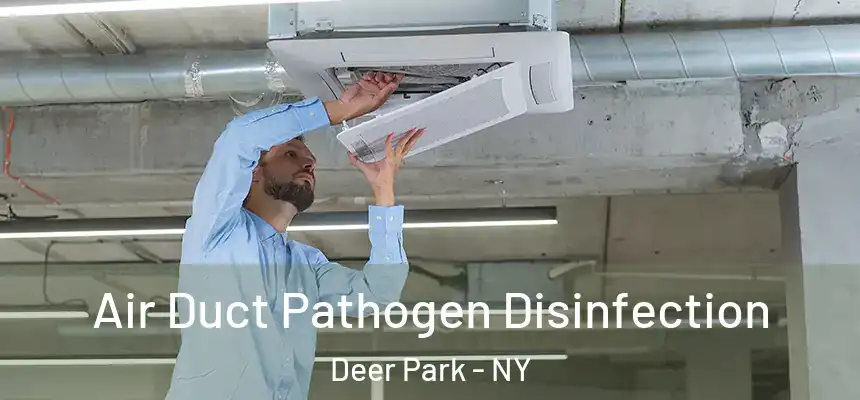 Air Duct Pathogen Disinfection Deer Park - NY