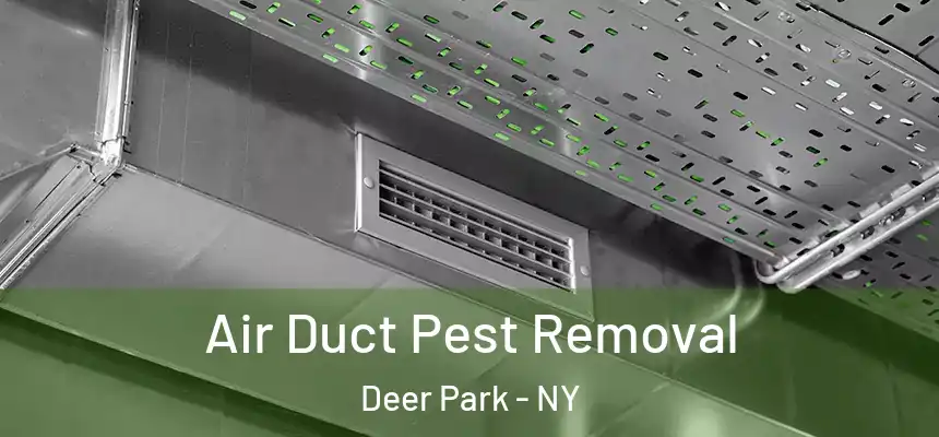 Air Duct Pest Removal Deer Park - NY