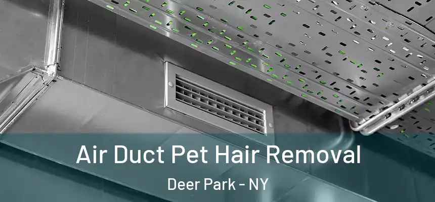  Air Duct Pet Hair Removal Deer Park - NY