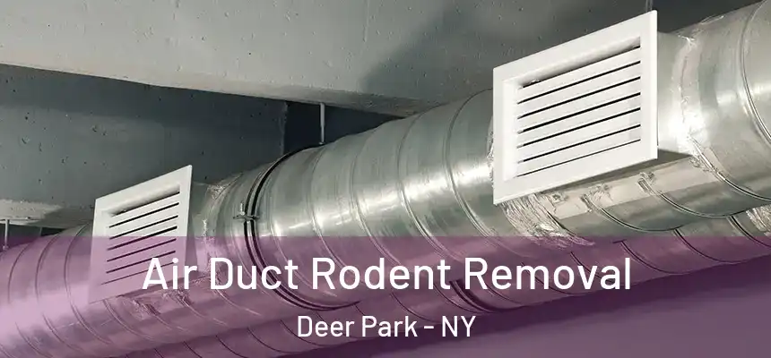 Air Duct Rodent Removal Deer Park - NY