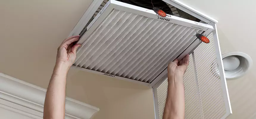 Preventive Cockroach-Proofing for Ducts in Deer Park