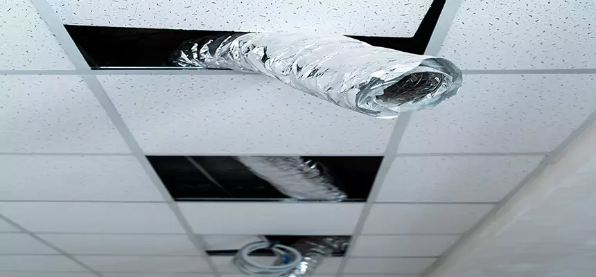 Our Air Duct Pet Hair Removal Services in Deer Park, NY