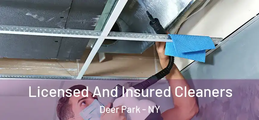  Licensed And Insured Cleaners Deer Park - NY
