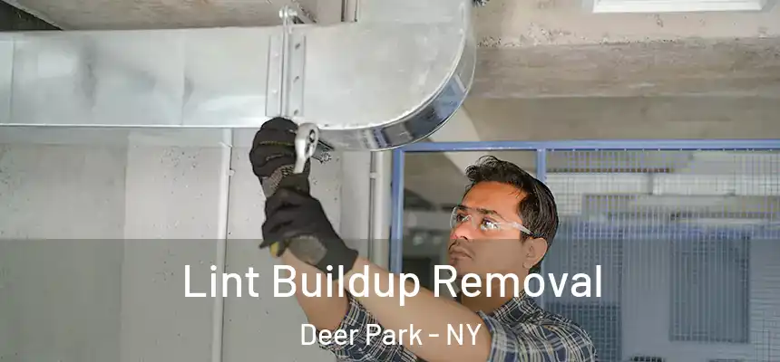  Lint Buildup Removal Deer Park - NY