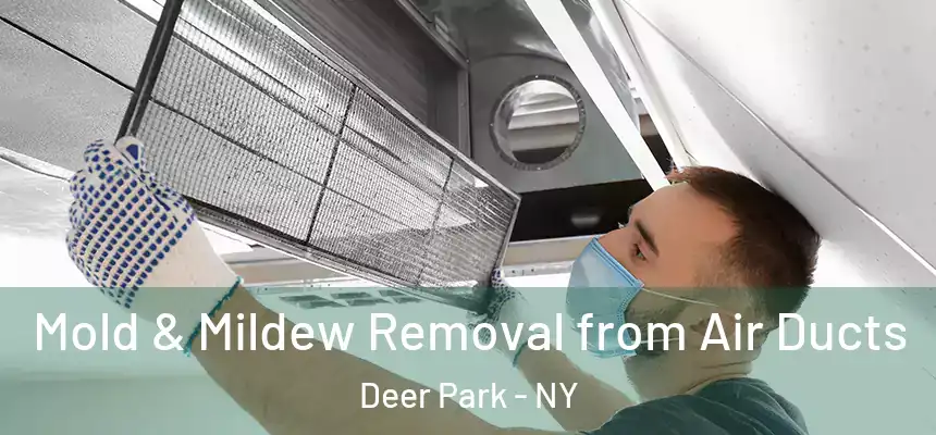 Mold & Mildew Removal from Air Ducts Deer Park - NY