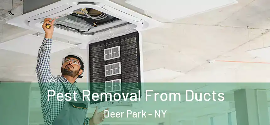 Pest Removal From Ducts Deer Park - NY