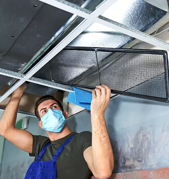 Professional Air Duct Pollen Cleaning in Deer Park, NY