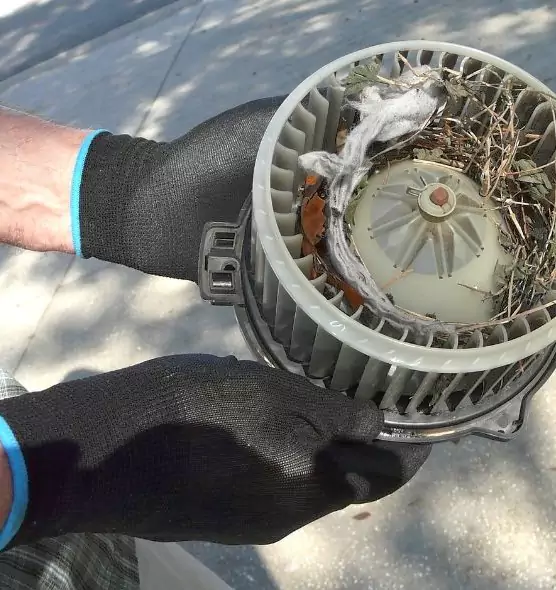 About Air Duct Rat Removal in Deer Park, NY