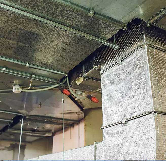 Why Homeowners & Businesses Trust Us Deer Park, NY?